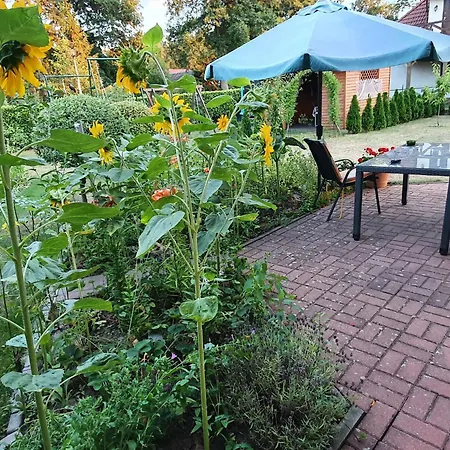 Dom wakacyjny Gartenappartement An Der Polnischen Ostseekueste By Interhome