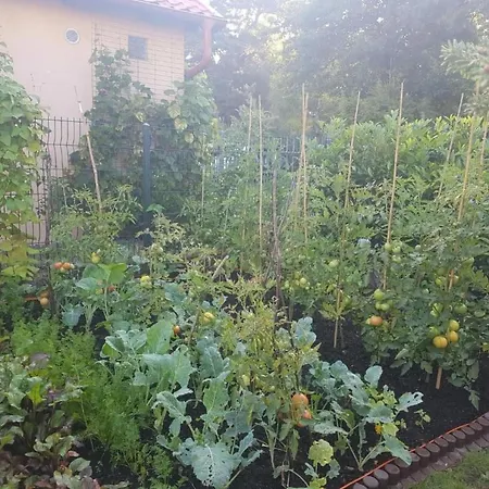 Gartenappartement An Der Polnischen Ostseekueste By Interhome