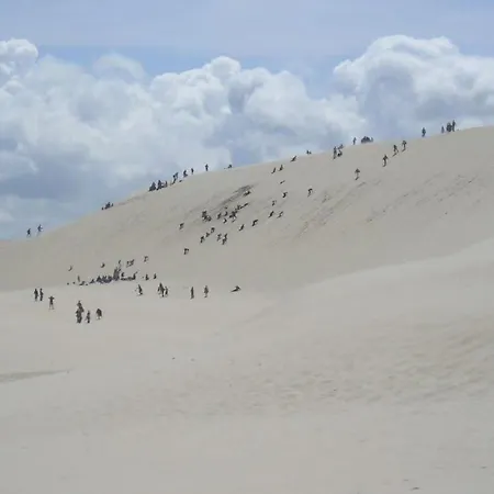 Gartenappartement An Der Polnischen Ostseekueste By Interhome *