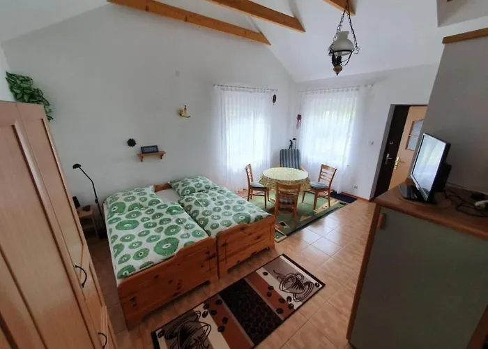 Gartenappartement An Der Polnischen Ostseekueste By Interhome Ferienhaus Zarnowska