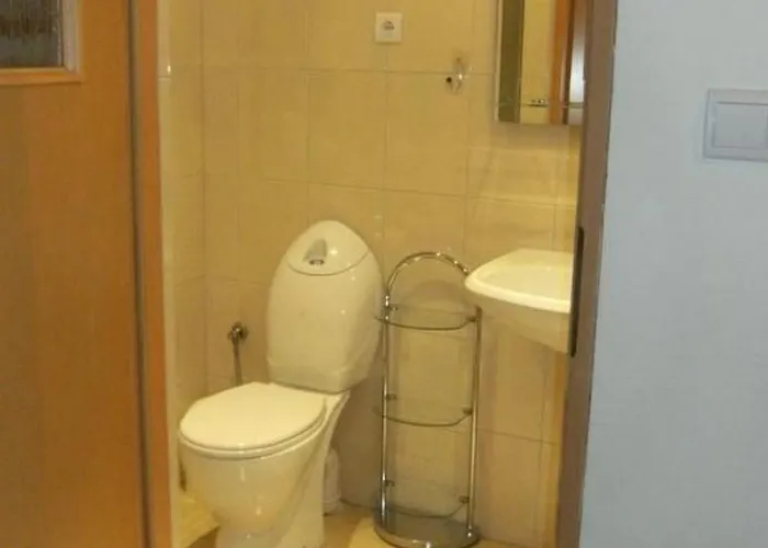 Gartenappartement An Der Polnischen Ostseekueste By Interhome Ferienhaus