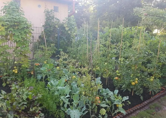 Gartenappartement An Der Polnischen Ostseekueste By Interhome