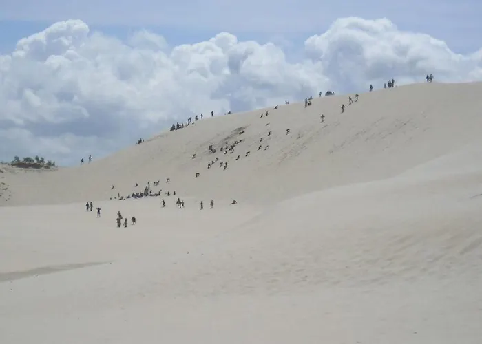 Gartenappartement An Der Polnischen Ostseekueste By Interhome *